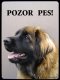 Leonberger