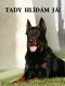 Boseron BEAUCERON