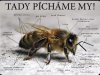 Tabulka "POZOR VČELY" Tady pícháme my