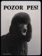 Pudl velký černý