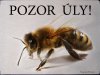 Tabulka "POZOR VČELY" Pozor úly 1