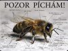 Tabulka "POZOR VČELY" Pozor píchám