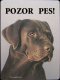 Labrador hnědý 1
