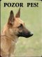 Belgický ovčák Malinois