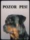 Rotvajler (Rottweiler)