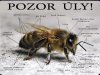 Tabulka "POZOR VČELY" Pozor úly