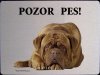 Francouzský mastiff