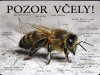 Tabulka "POZOR VČELY" Pozor včely