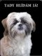 Ši-tzu (Shih-Tsu)