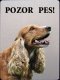 Kokršpaněl